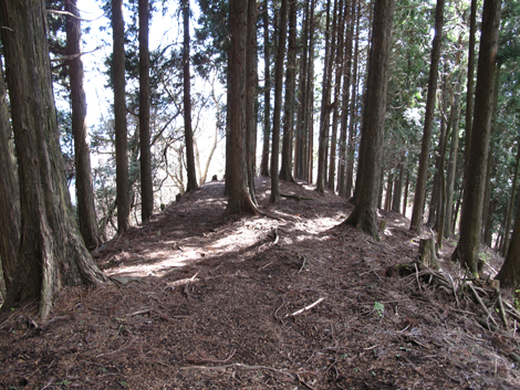 20161216hike (237)